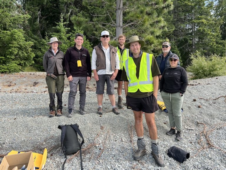 Motuariki Island visit uncovers rare natives - Te Manahuna Aoraki Project